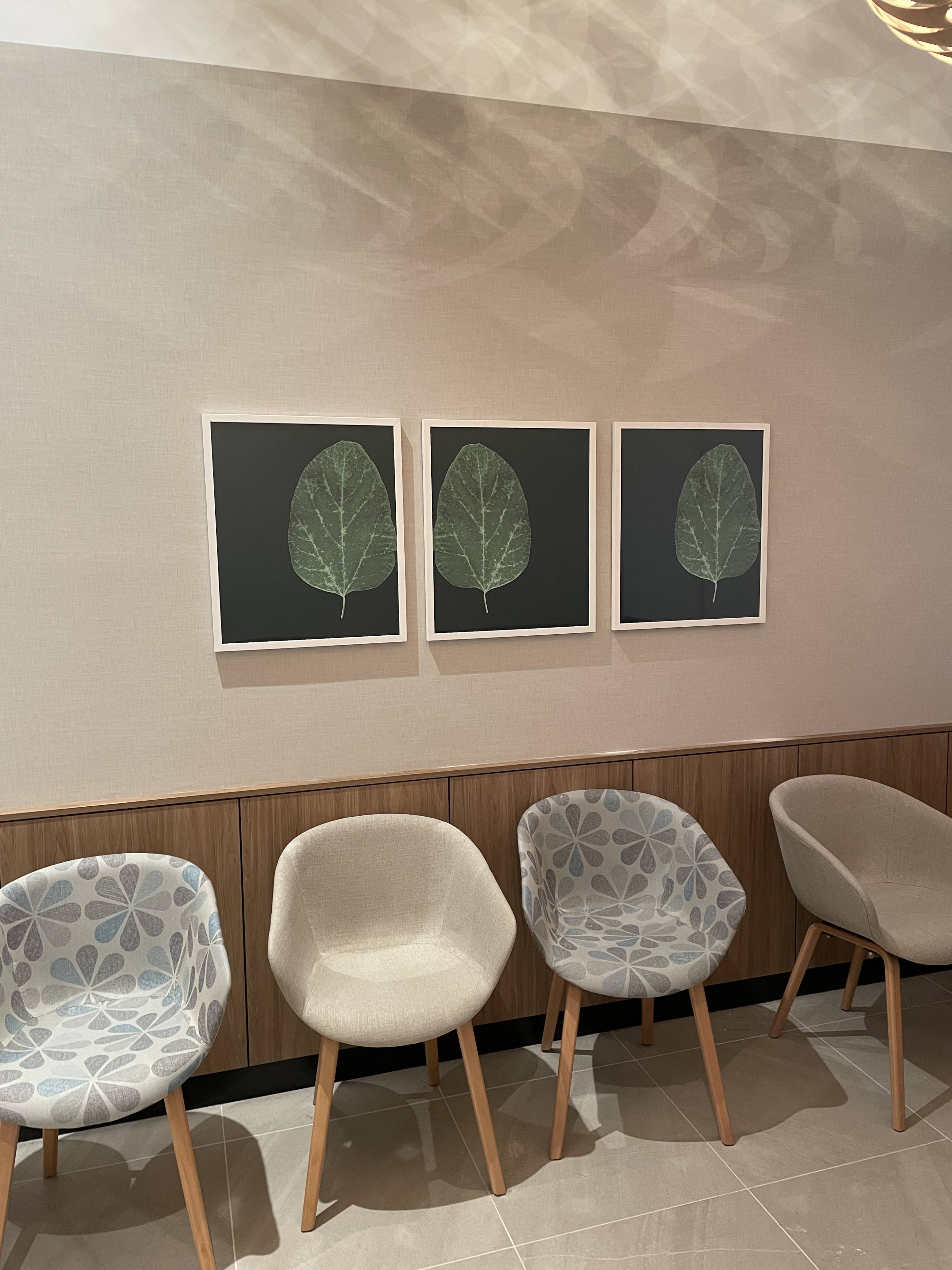 Lumus picture frames